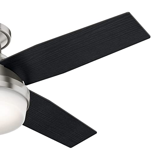 Hunter 59244 Dempsey Ceiling Fan 44 inches Fresh White