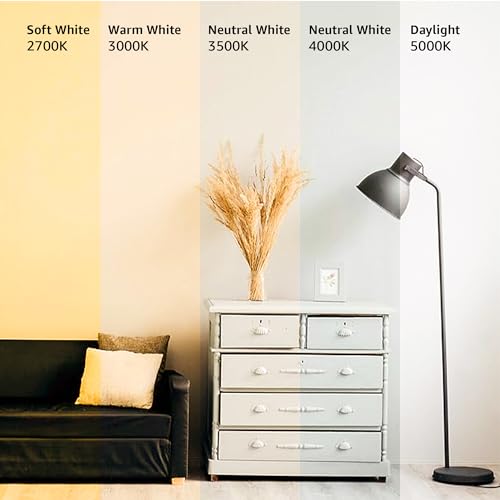 Amazon Basics 60W LED Bulbs, Soft White, 6-Pack