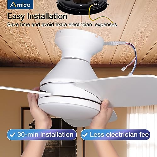 Amico 42" Ceiling Fan with Light & Remote