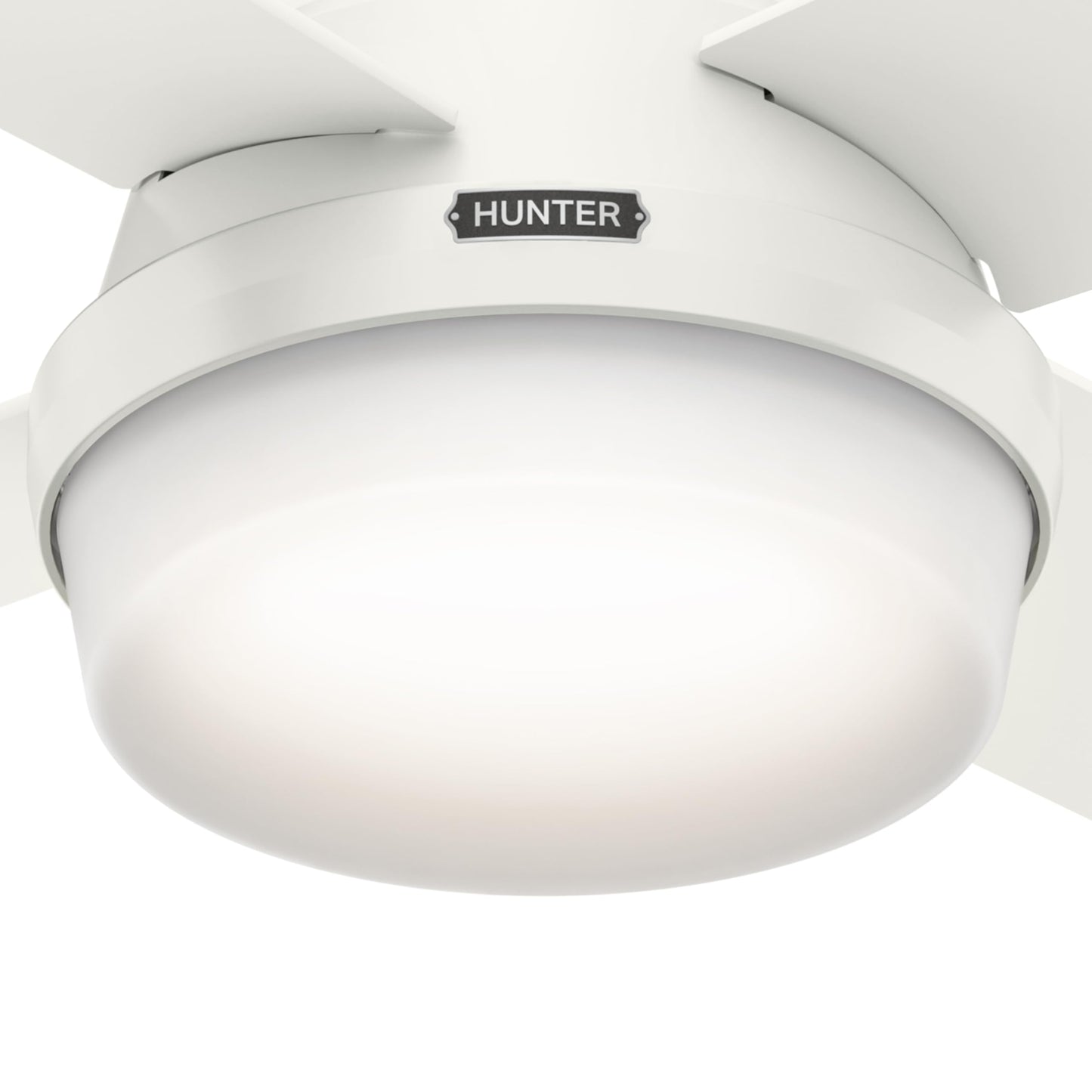 Hunter 59244 Dempsey Ceiling Fan 44 inches Fresh White
