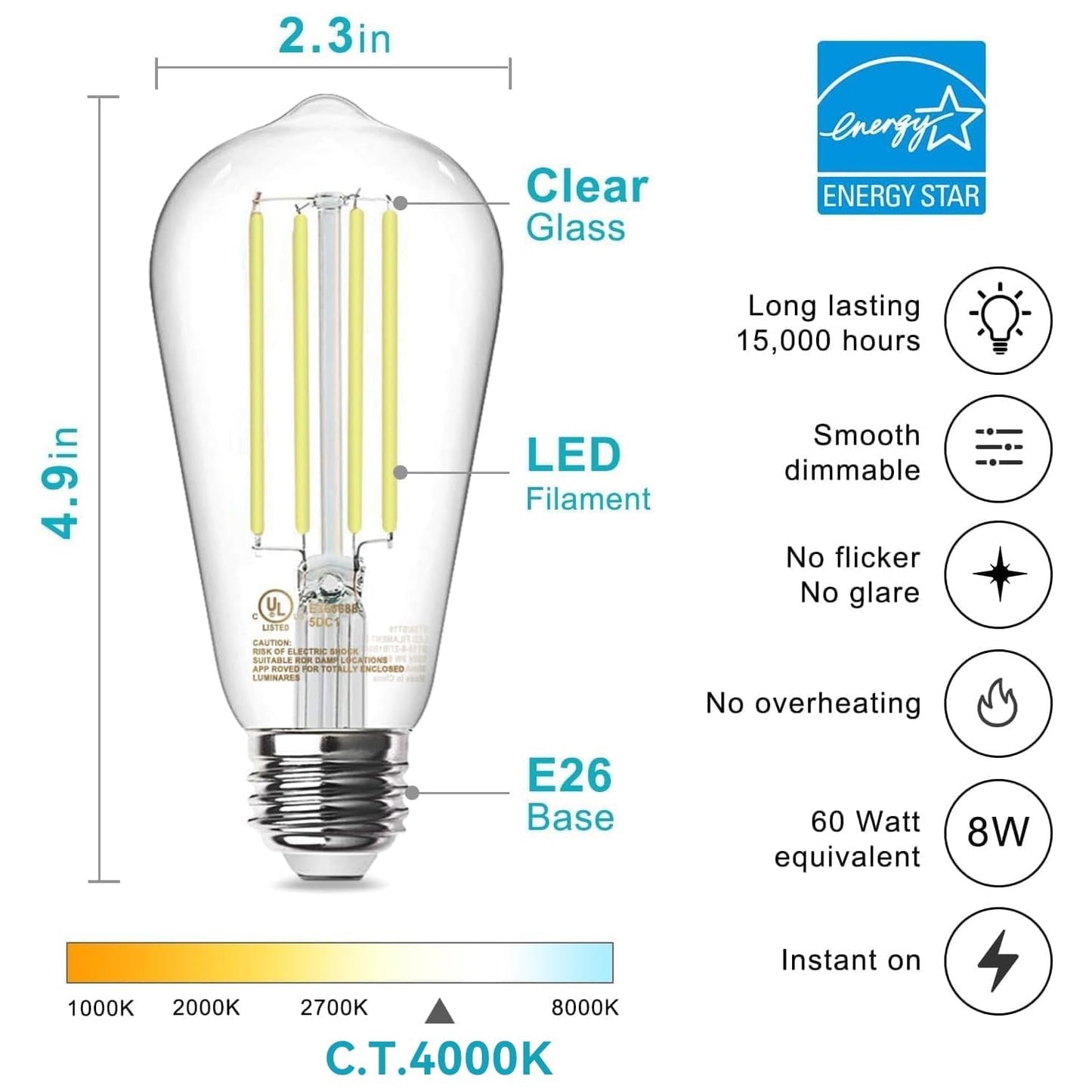 TJOY Vintage LED Edison Bulbs 12-Pack