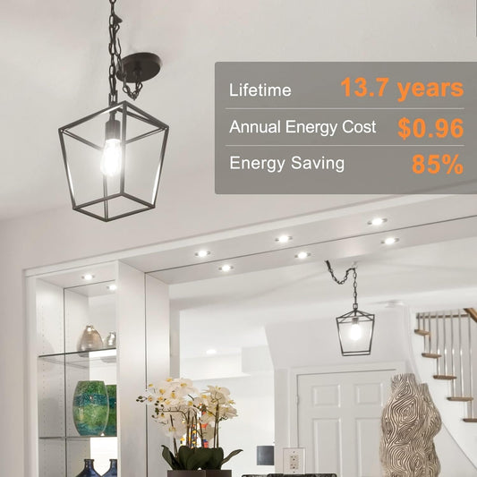 TJOY Vintage LED Edison Bulbs 12-Pack