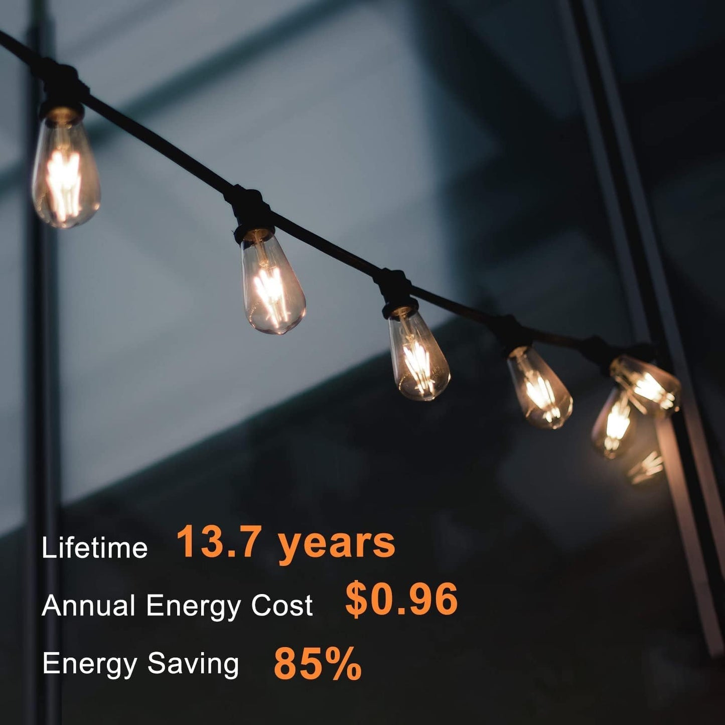 TJOY Vintage LED Edison Bulbs 12-Pack