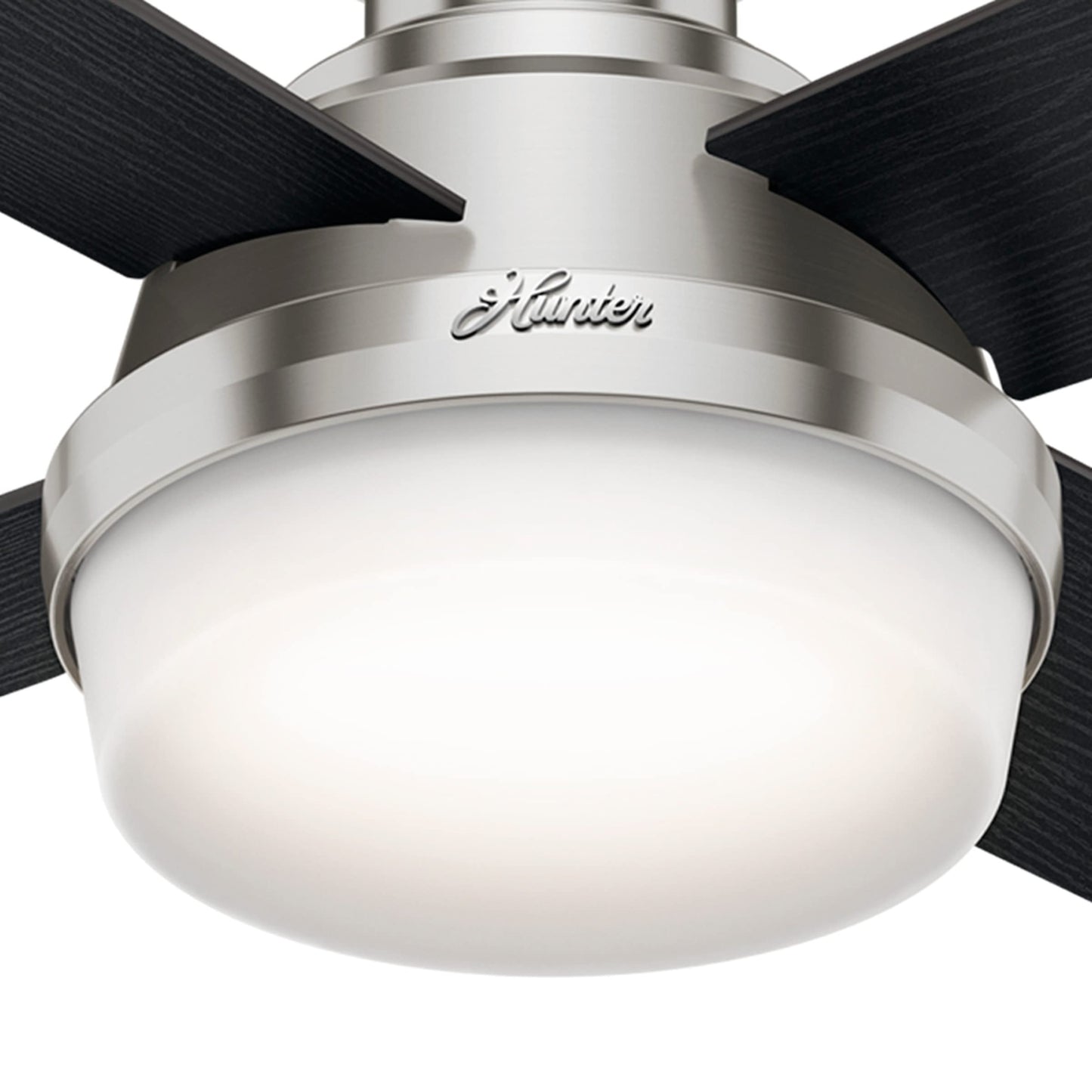 Hunter 59244 Dempsey Ceiling Fan 44 inches Fresh White
