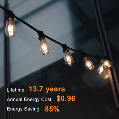 TJOY Vintage LED Edison Bulbs 12-Pack
