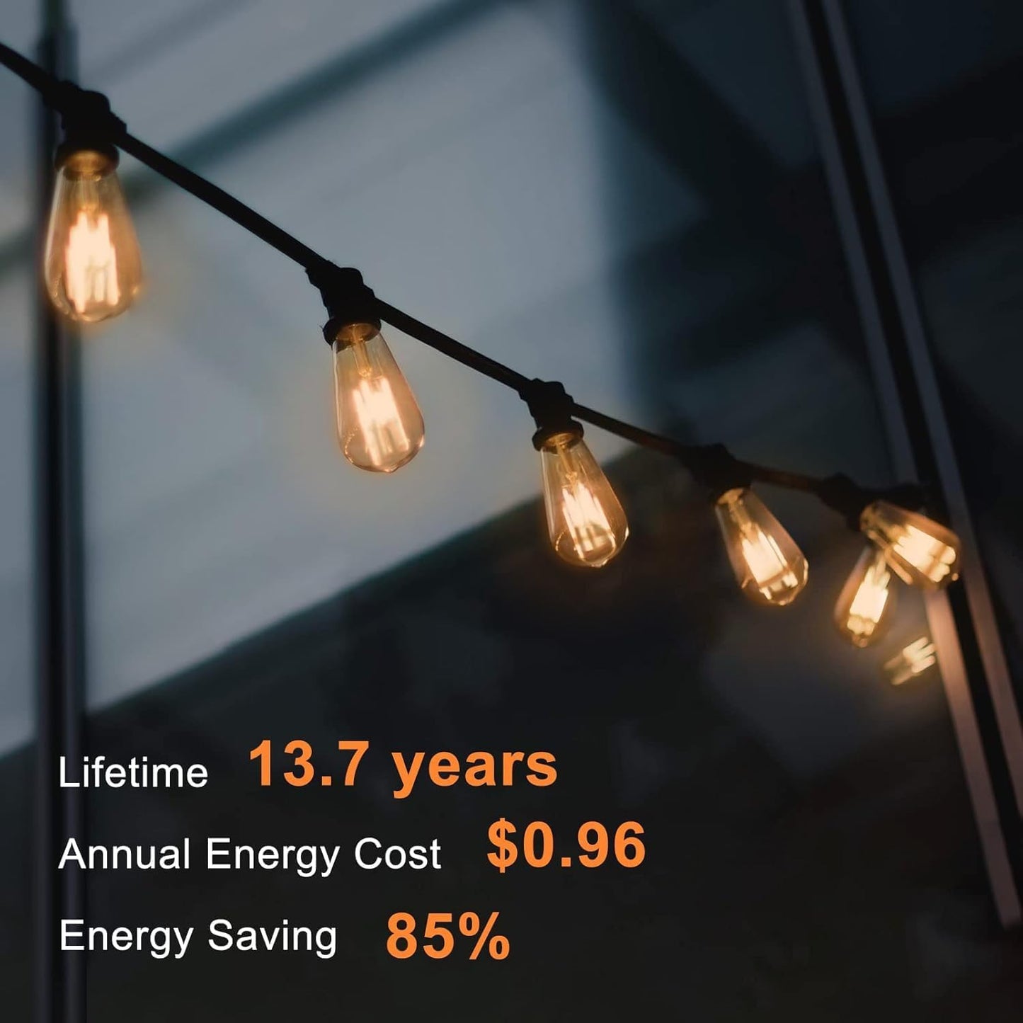TJOY Vintage LED Edison Bulbs 12-Pack