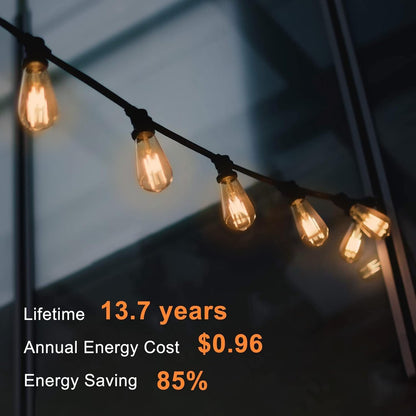 TJOY Vintage LED Edison Bulbs 12-Pack