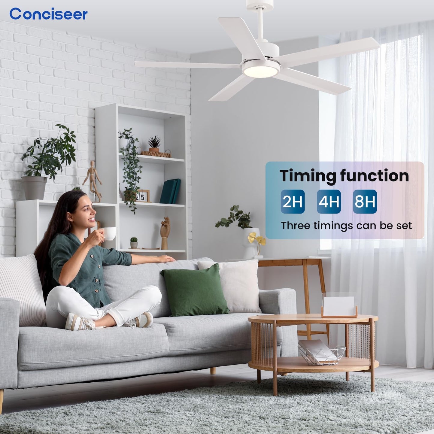 65" Modern Ceiling Fan with Light & Remote
