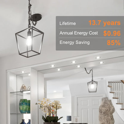 TJOY Vintage LED Edison Bulbs 12-Pack