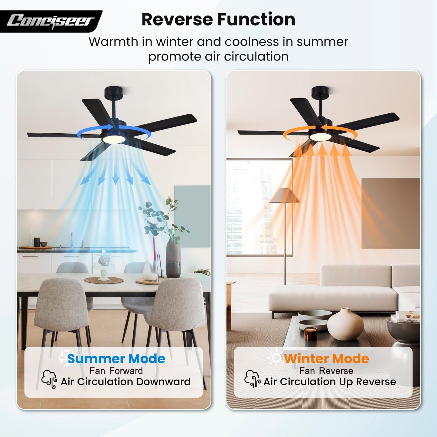 65" Modern Ceiling Fan with Light & Remote