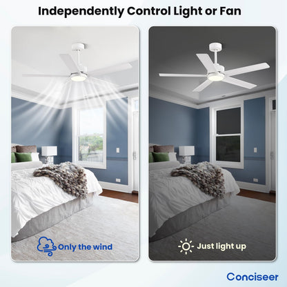 65" Modern Ceiling Fan with Light & Remote