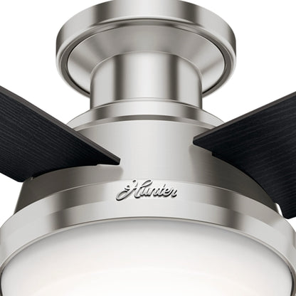 Hunter 59244 Dempsey Ceiling Fan 44 inches Fresh White