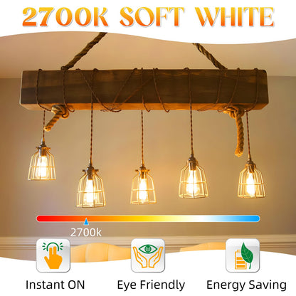 Edison LED Bulbs 12-Pack