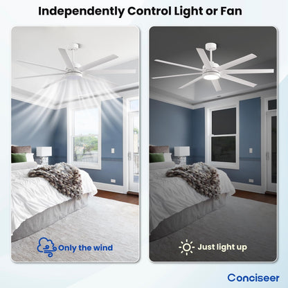 65" Modern Ceiling Fan with Light & Remote