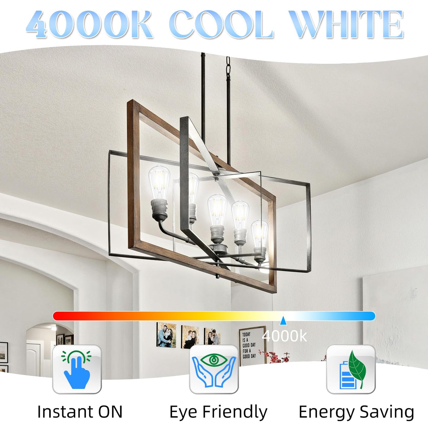 Edison LED Bulbs 12-Pack