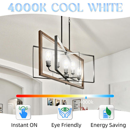 Edison LED Bulbs 12-Pack