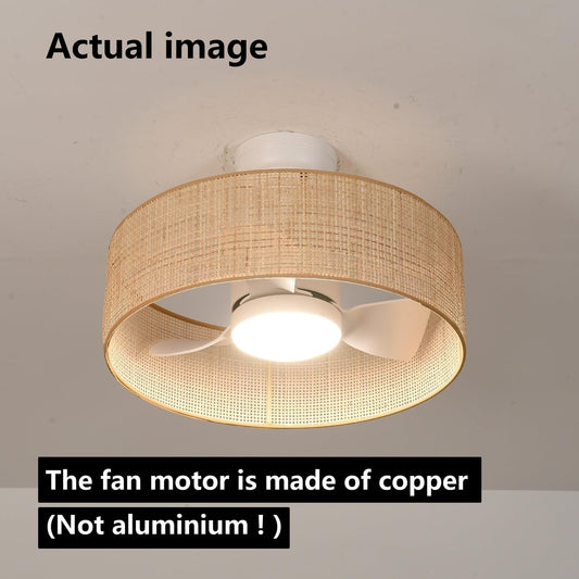 18W 20” Dimmable Boho Cage Ceiling Fan with Light
