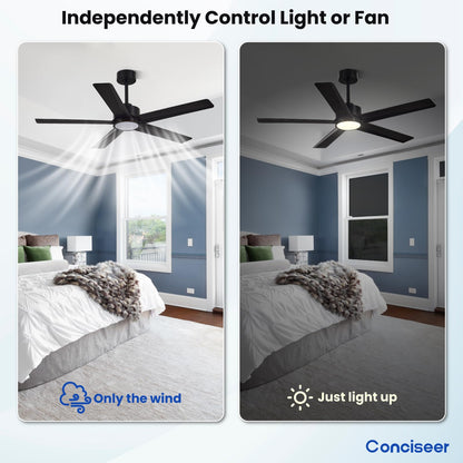 65" Modern Ceiling Fan with Light & Remote