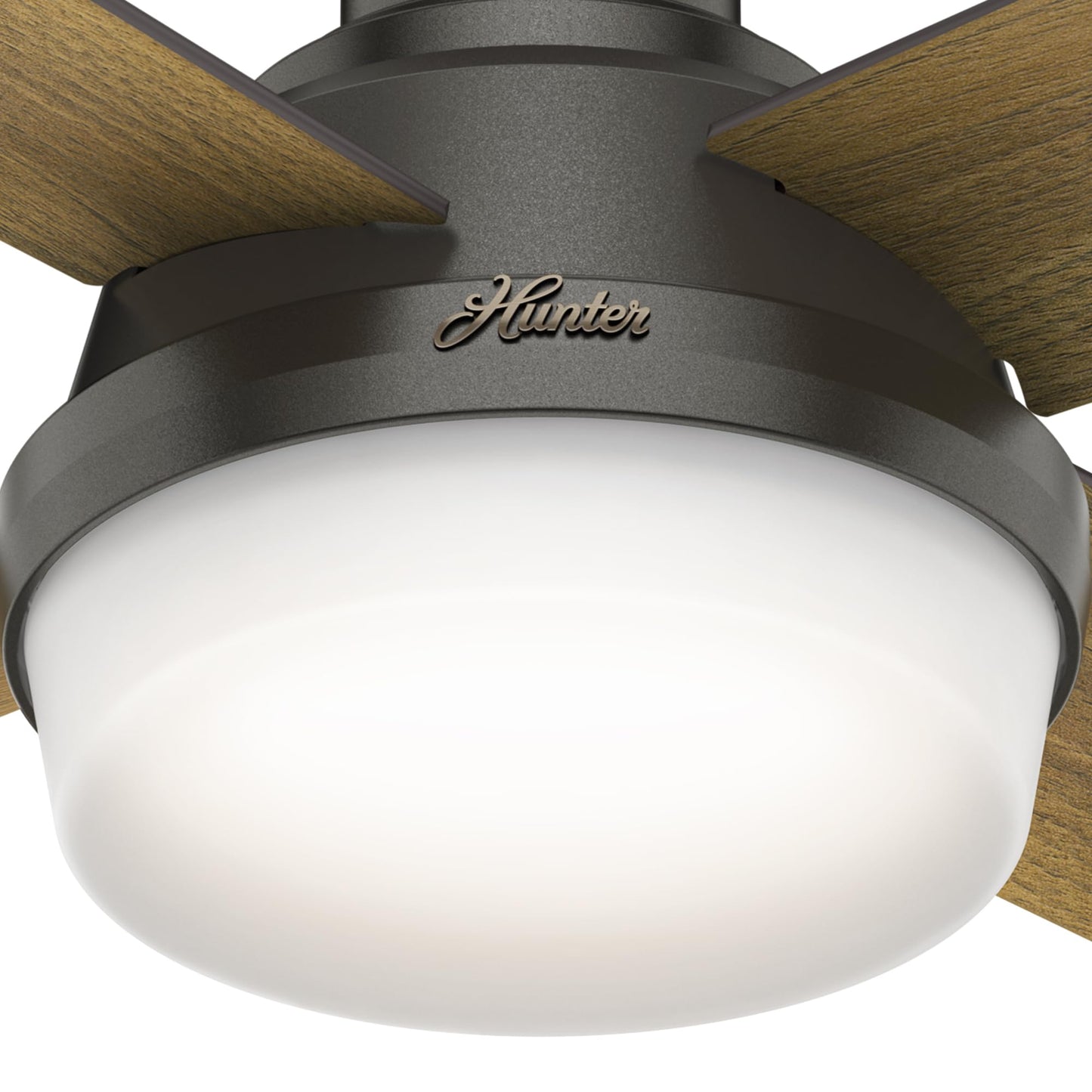 Hunter 59244 Dempsey Ceiling Fan 44 inches Fresh White
