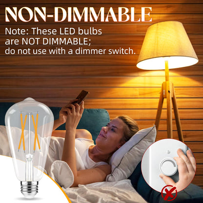 Edison LED Bulbs 12-Pack