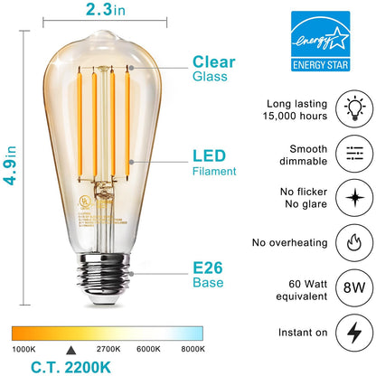 TJOY Vintage LED Edison Bulbs 12-Pack