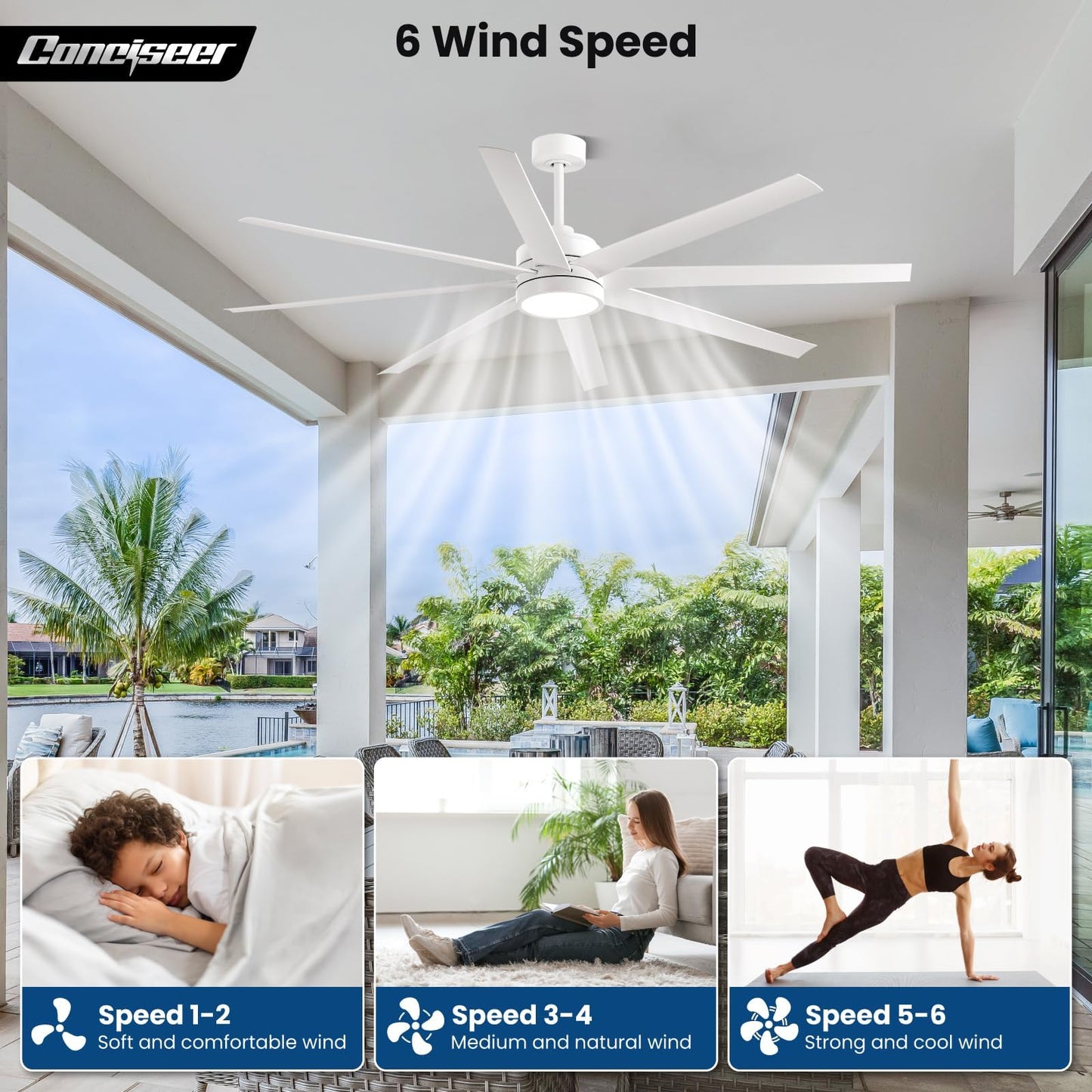 65" Modern Ceiling Fan with Light & Remote