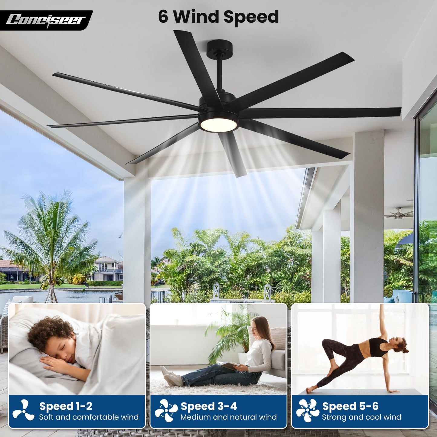 65" Modern Ceiling Fan with Light & Remote